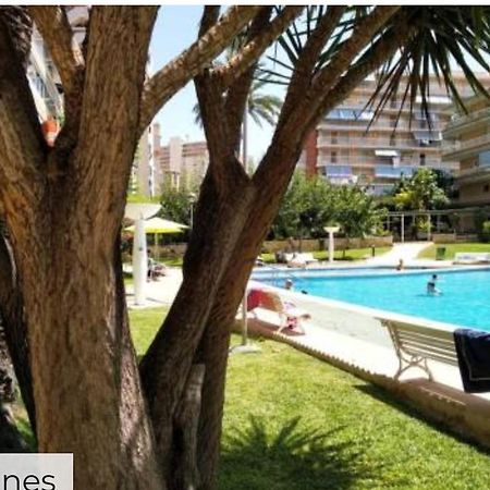 Apartamento Entero En La Playa San Juan Benacantil Alicante Exterior foto