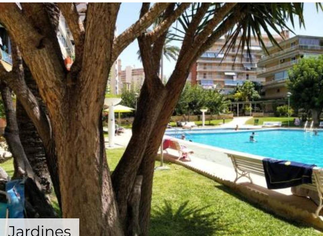 Apartamento Entero En La Playa San Juan Benacantil Alicante Exterior foto